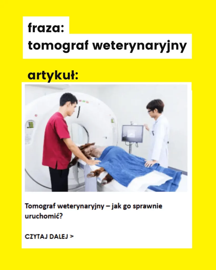 SEO dla firmy B2B frazy kluczowe