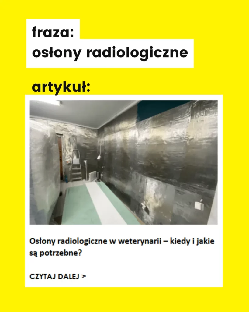 SEO dla firmy B2B frazy kluczowe