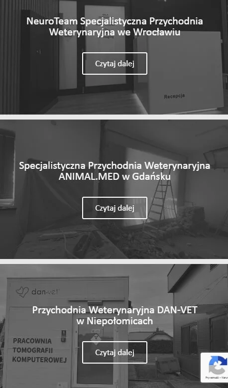 SEO dla firmy B2B realizacje