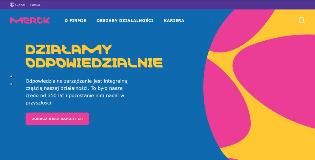 projektowanie stron firmowych błedy ogólne hasło