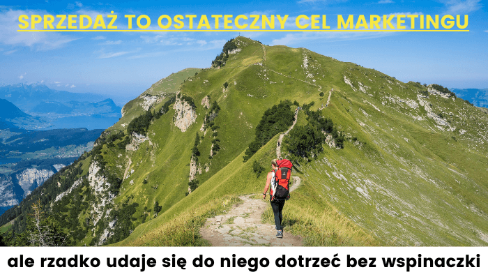 marketing dla firm cel sprzedaż