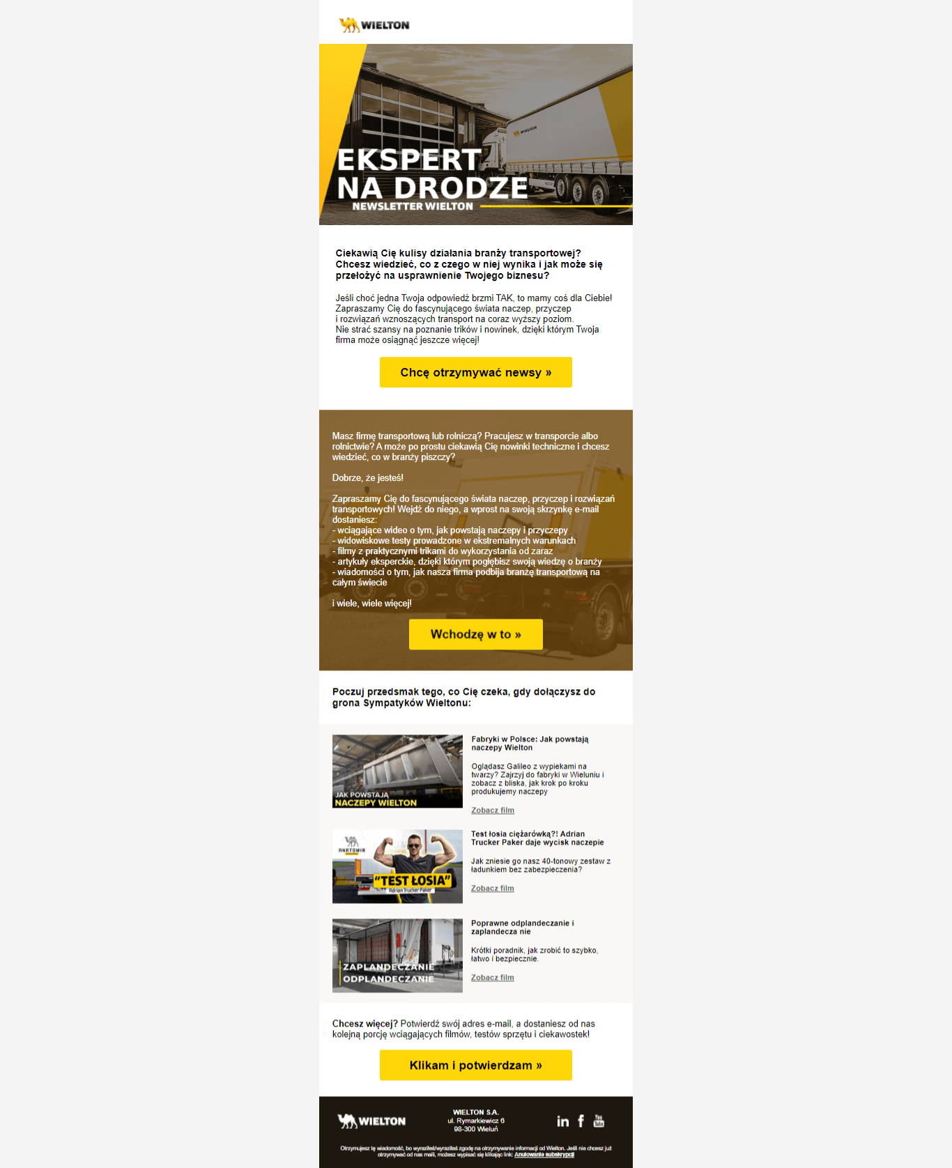 newsletter wielton email marketing