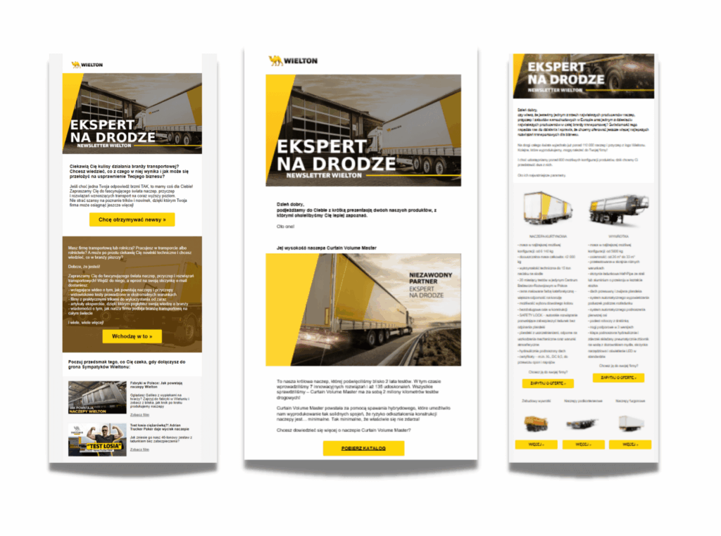 newslettery karina moleda portfolio