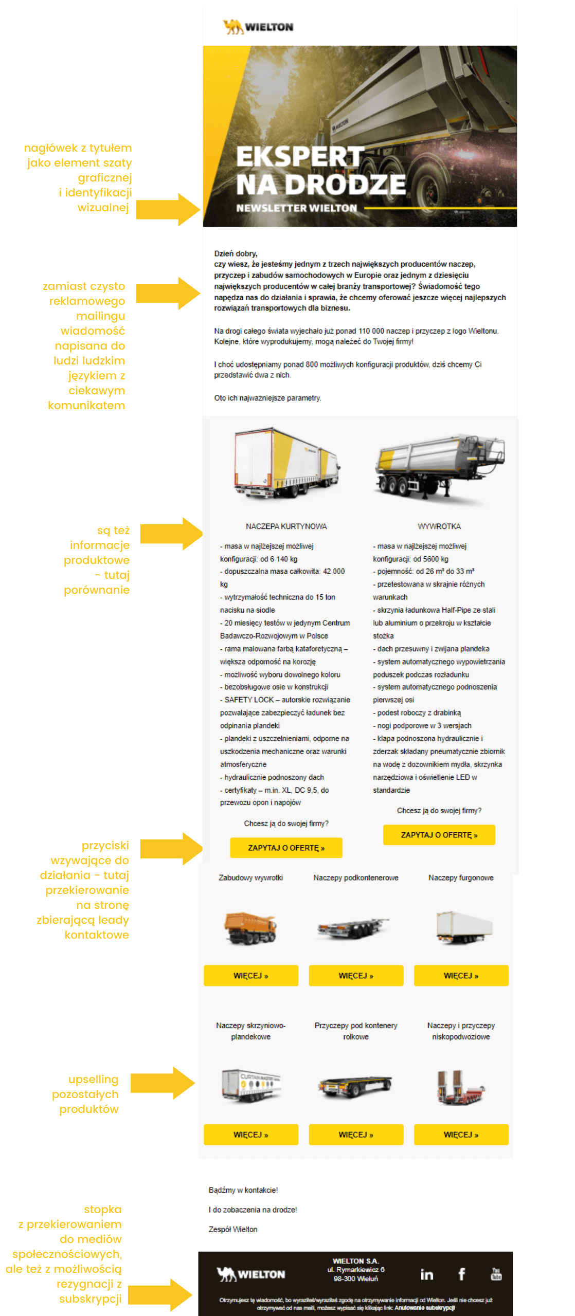 newsletter wielton Karina Molęda